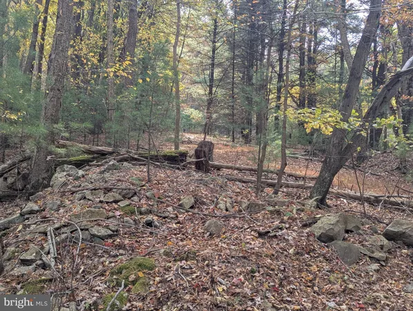 $155,000 | 7 Community Pond Drive, Catawissa, PA 17820