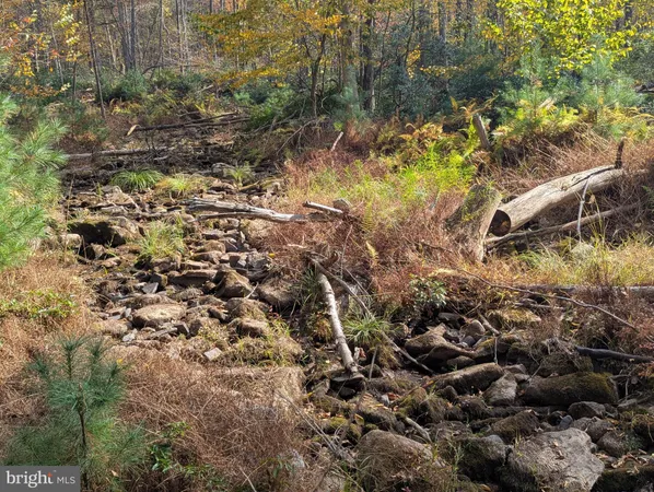 $155,000 | 7 Community Pond Drive, Catawissa, PA 17820