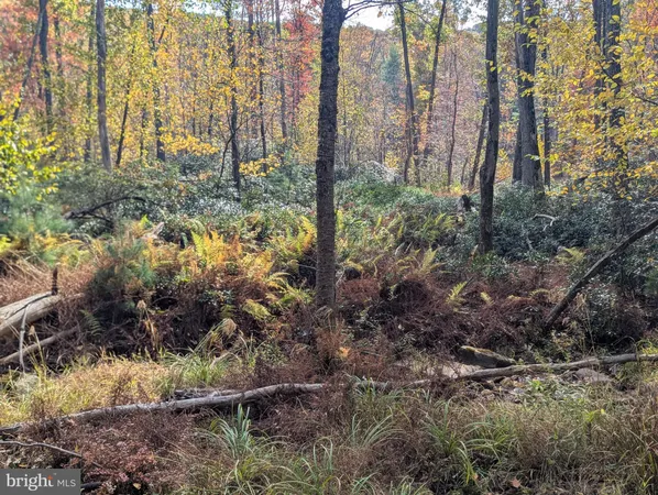 $155,000 | 7 Community Pond Drive, Catawissa, PA 17820