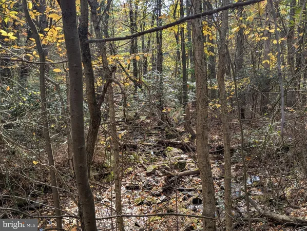 $155,000 | 7 Community Pond Drive, Catawissa, PA 17820