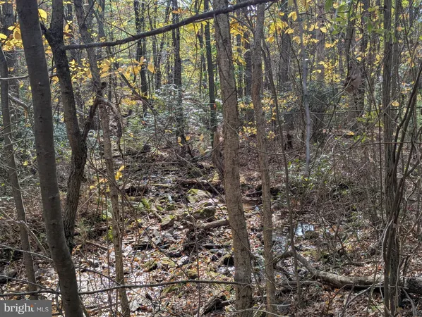 $155,000 | 7 Community Pond Drive, Catawissa, PA 17820