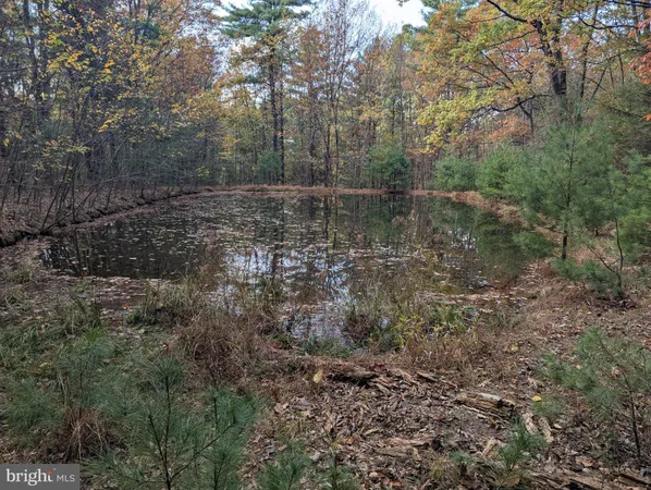 a view of lake with green space