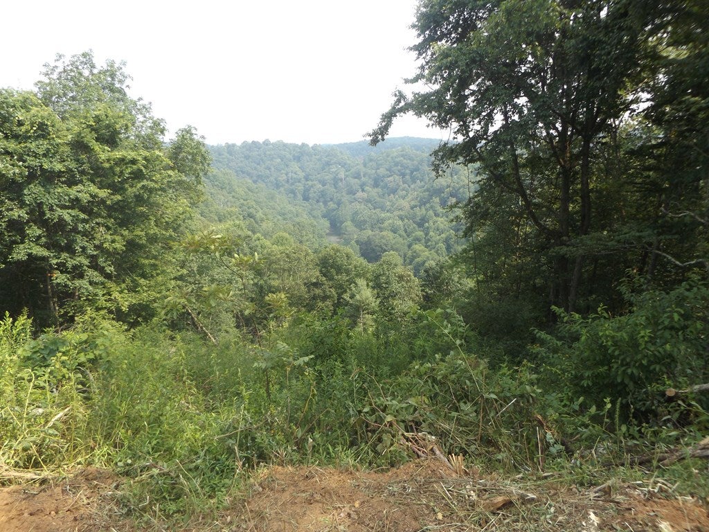 Tbd Pridemoore Road, Unit 6 Galax, VA 24333 - Photo 10 of 25 Gallery Image 10
