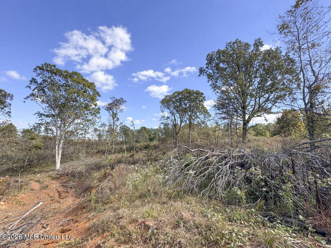 154 County Road Tillatoba, MS 38961 - Photo 1 of 58 4kgrdnyba13-orig_orig