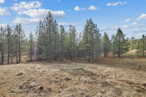 $115,000 | Nka Nka Way, Unit LOT 3 OF LOT 11, Nine Mile Falls, WA 99026
