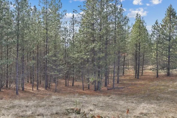 $115,000 | Nka Nka Way, Unit LOT 3 OF LOT 11, Nine Mile Falls, WA 99026