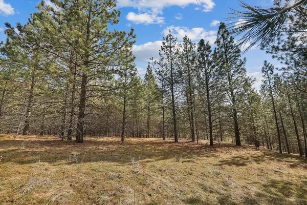 $115,000 | Nka Nka Way, Unit LOT 3 OF LOT 11, Nine Mile Falls, WA 99026