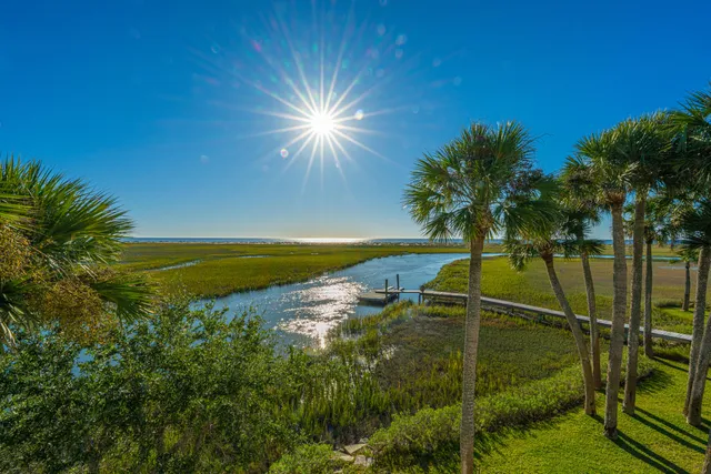 $3,500,000 | 1250 Hammocks Way, Edisto Island, SC 29438