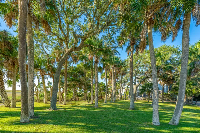 $3,500,000 | 1250 Hammocks Way, Edisto Island, SC 29438