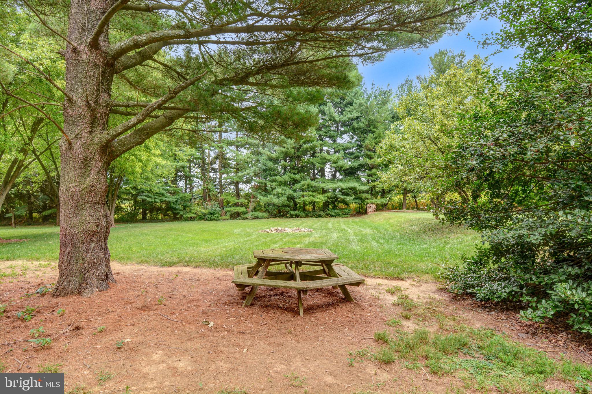 4349 Ridge Road Mount Airy, MD 21771 - Photo 54 of 66