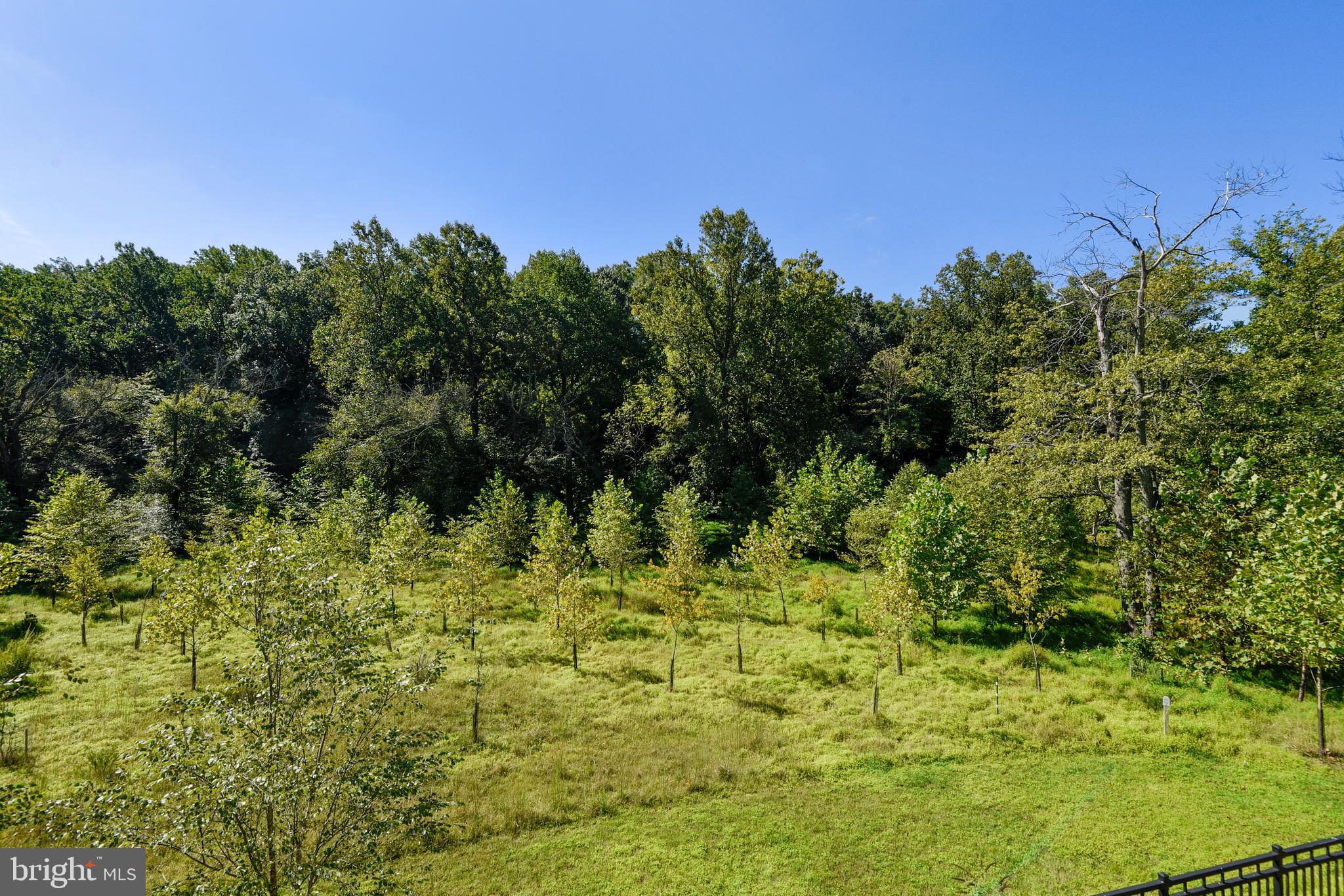 1550 Rabbit Hollow Place Silver Spring, MD 20906 - Photo 11 of 47 View from Deck