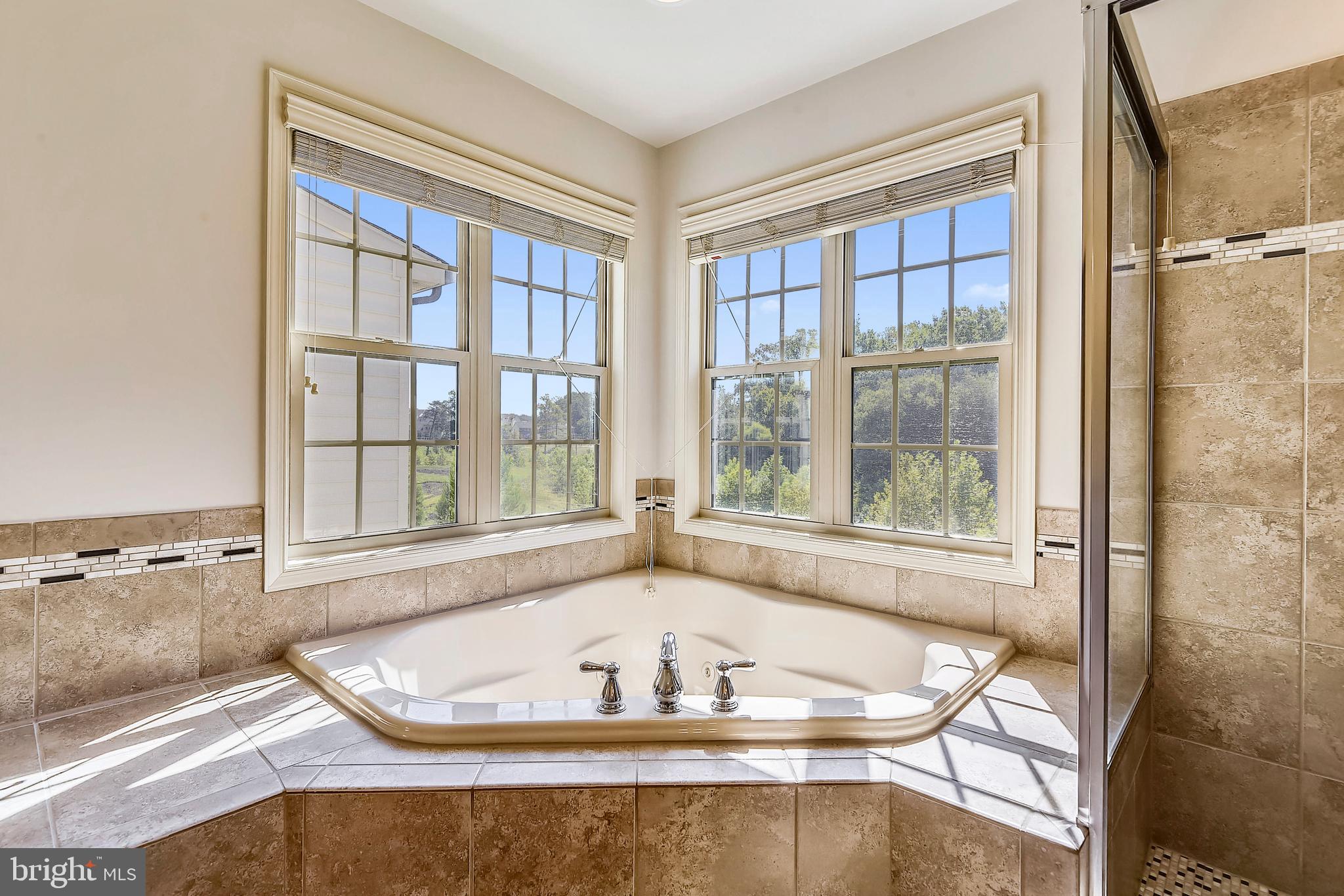 1550 Rabbit Hollow Place Silver Spring, MD 20906 - Photo 23 of 47 Master Bath