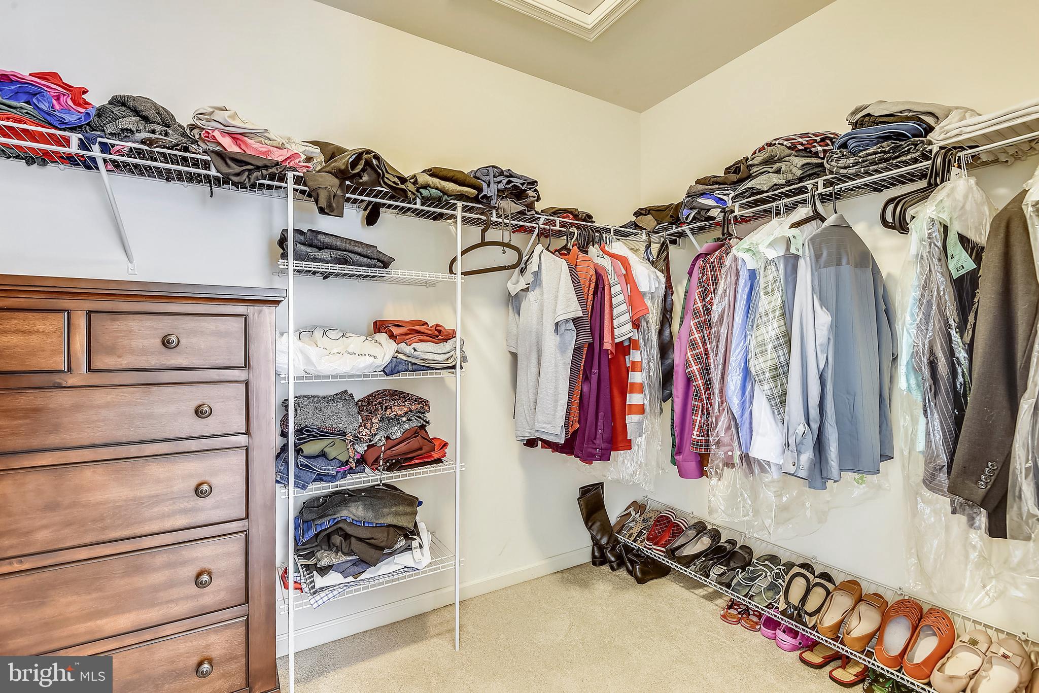1550 Rabbit Hollow Place Silver Spring, MD 20906 - Photo 25 of 47 Master Walk-in