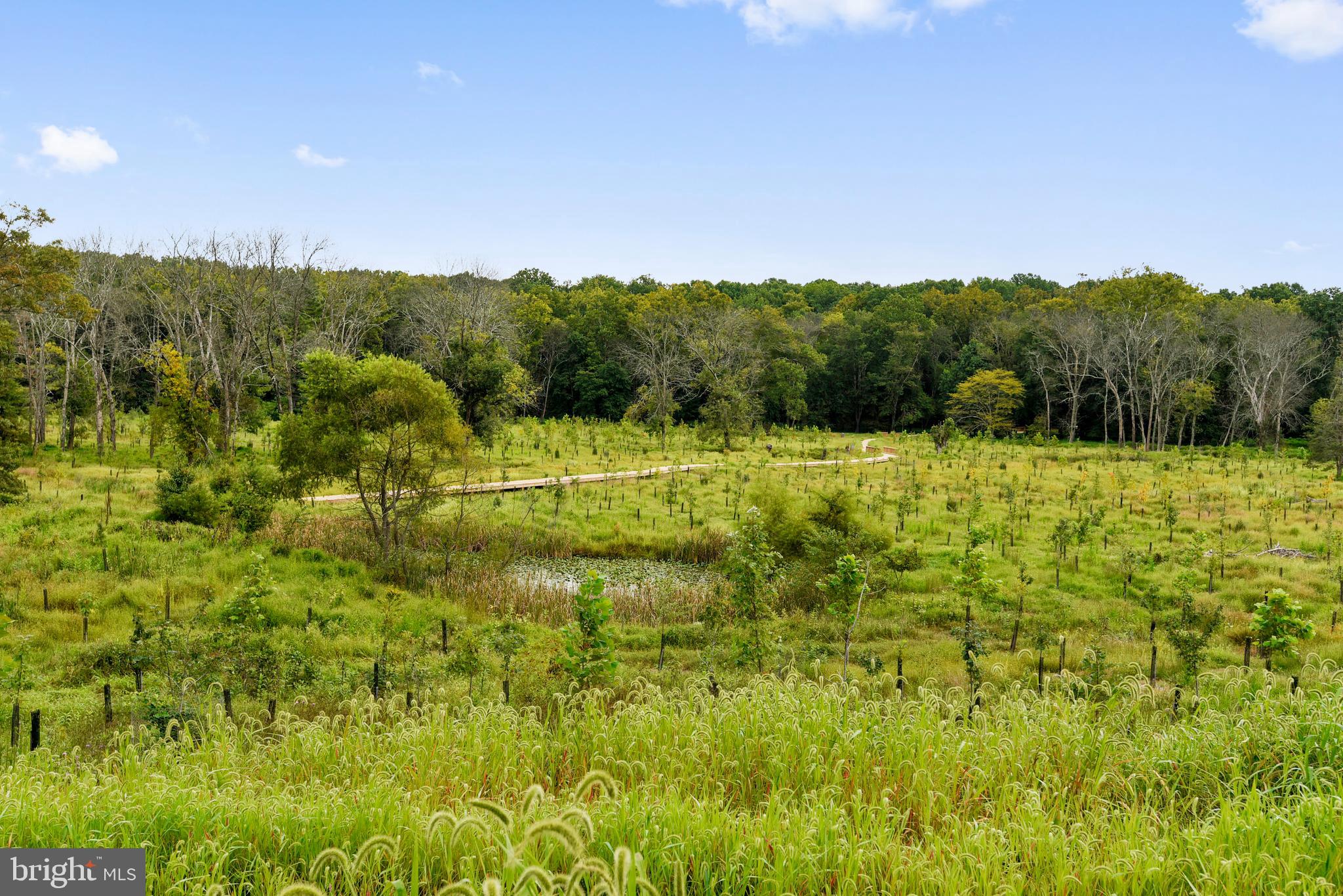 1550 Rabbit Hollow Place Silver Spring, MD 20906 - Photo 47 of 47 Community Park