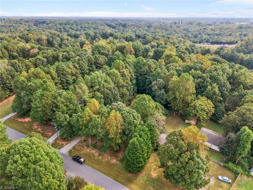 218 Gem Stone Loop Summerfield, NC 27358 - Photo 31 of 33