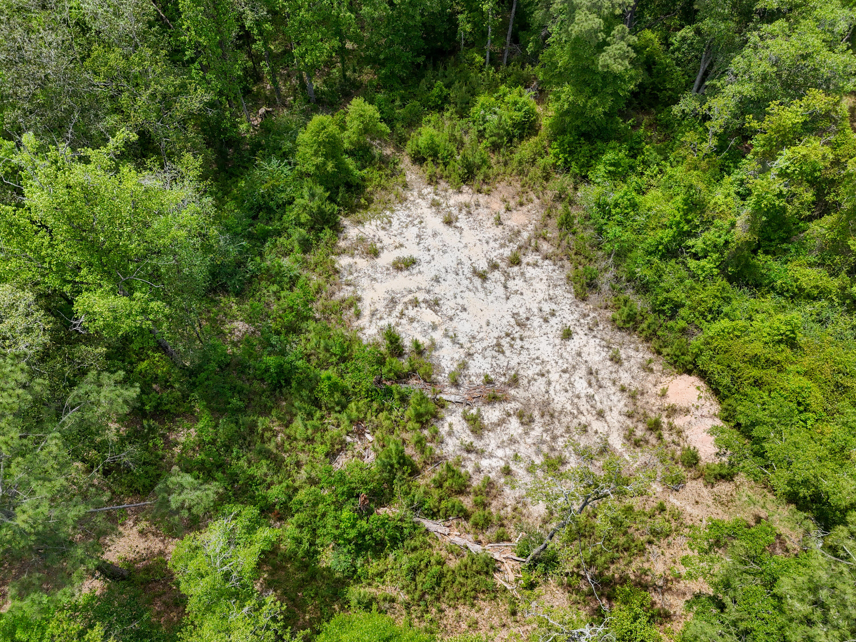 4.12-acres Old Bethel Road Crestview, FL 32536 - Photo 2 of 18 DJI_20260421131754_0040_D