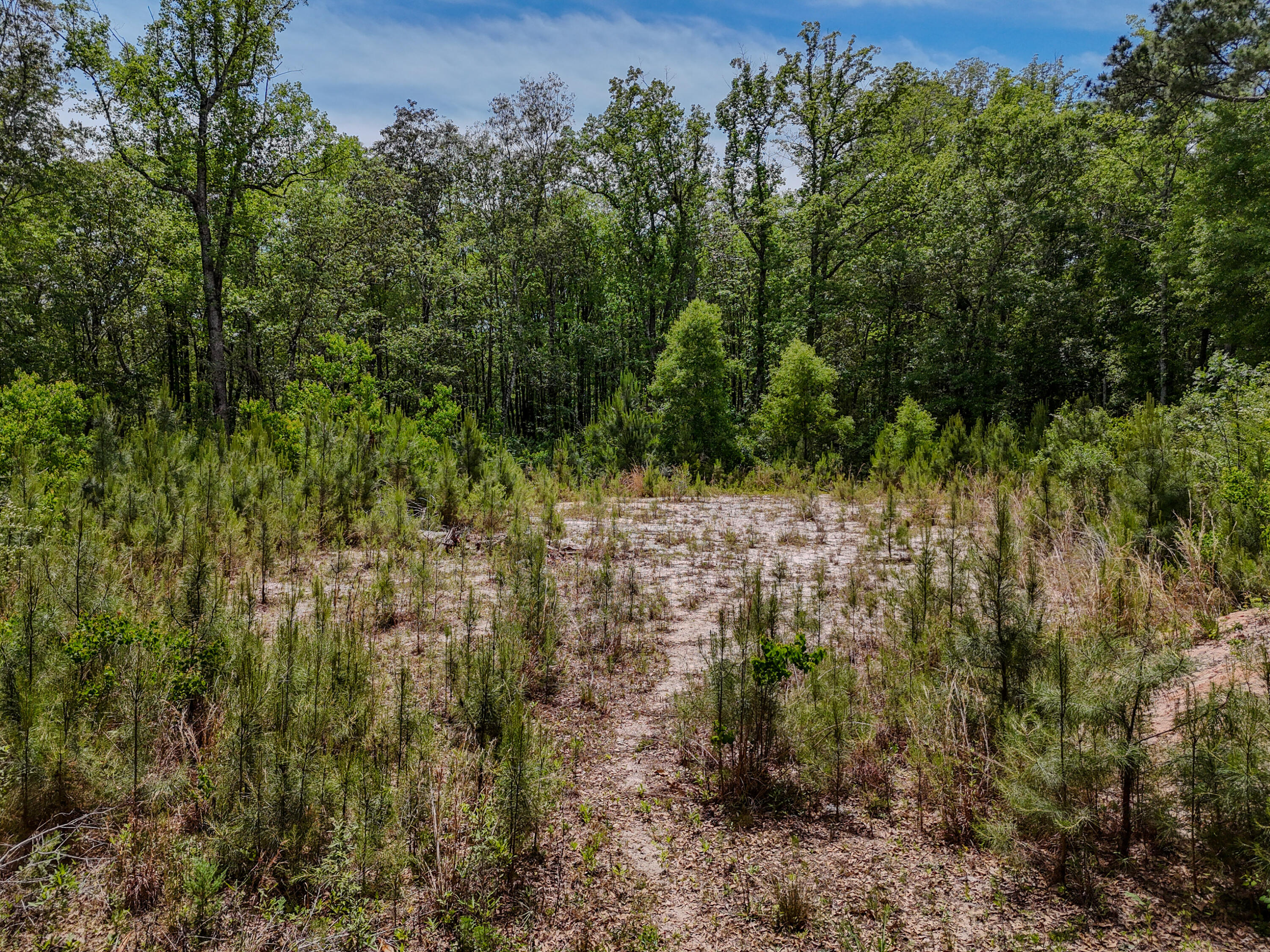 4.12-acres Old Bethel Road Crestview, FL 32536 - Photo 8 of 18 DJI_20260421132049_0049_D
