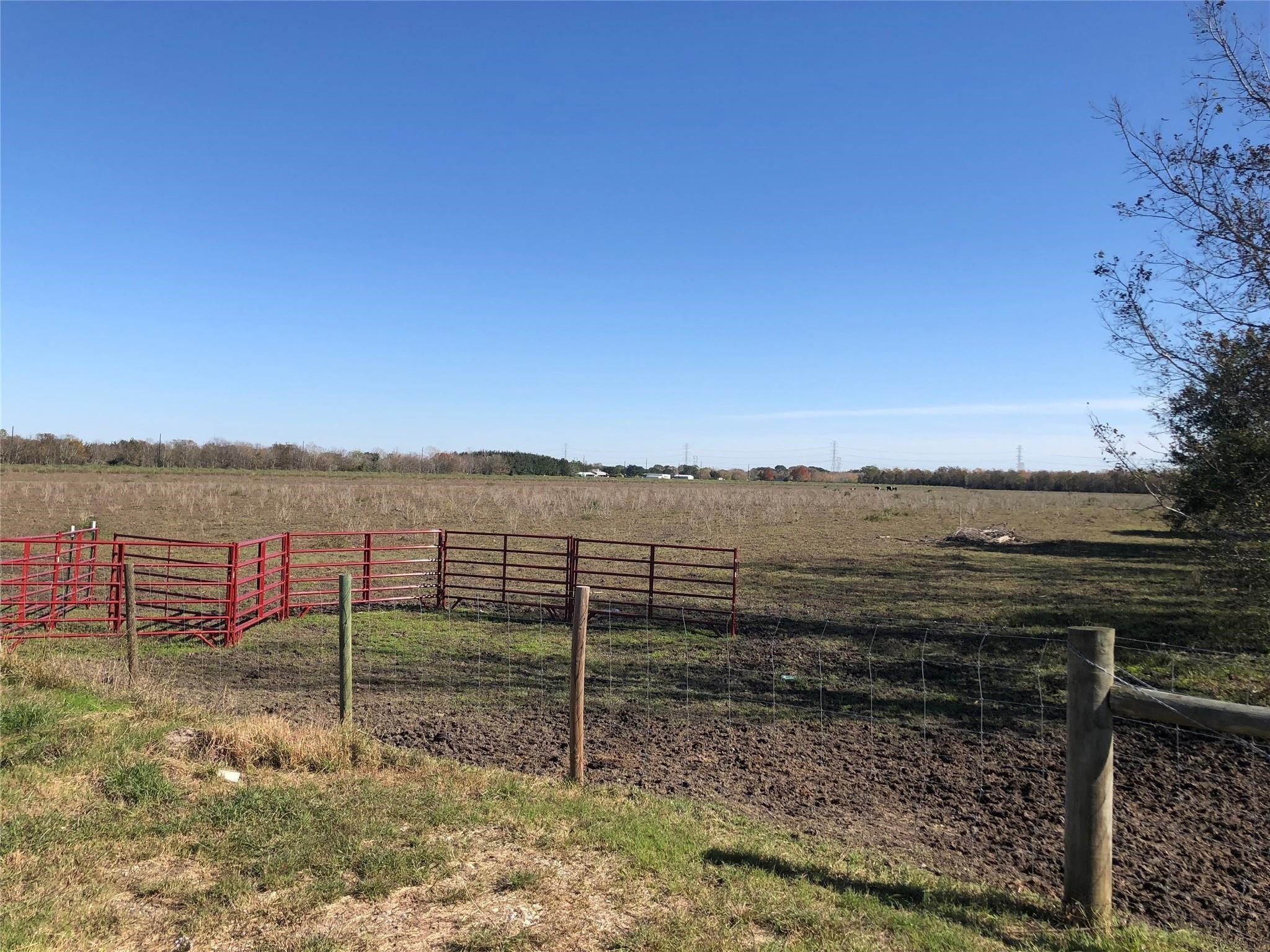 0 Dannhaus Road Needville, TX 77461 - Photo 16 of 21 Gallery Image 16