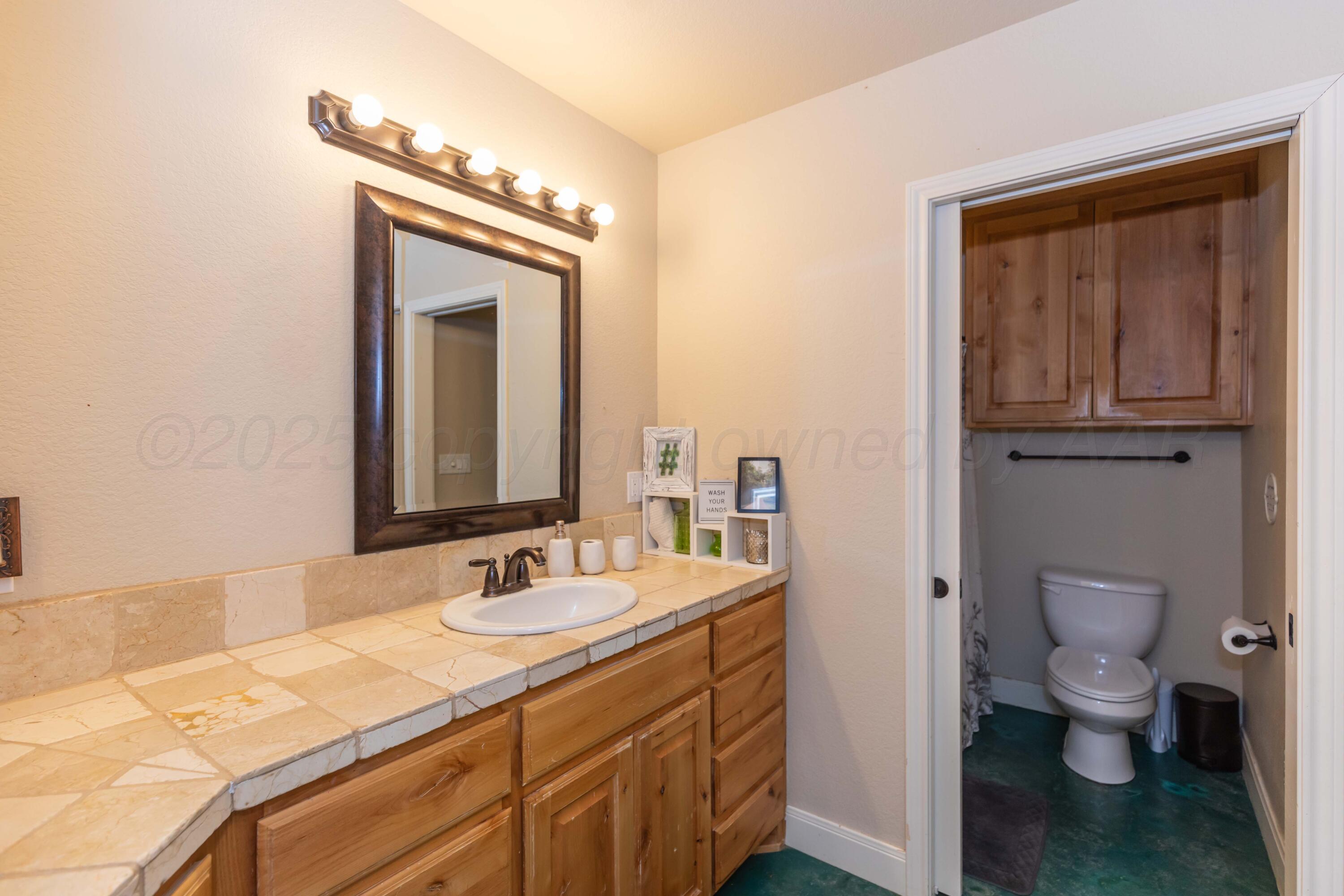 1301 Moon Ridge Lane Amarillo, TX 79124 - Photo 25 of 34 a bathroom with a sink a toilet and a mirror