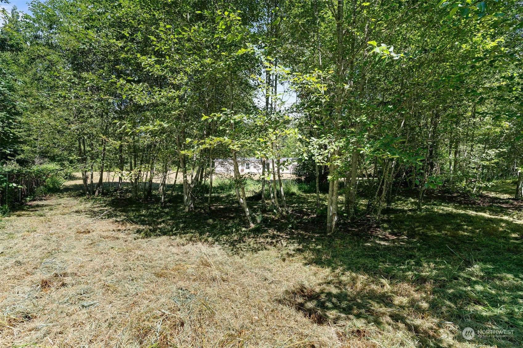 7240 Lake Shannon Road Concrete, WA 98237 - Photo 8 of 25 Gallery Image 8