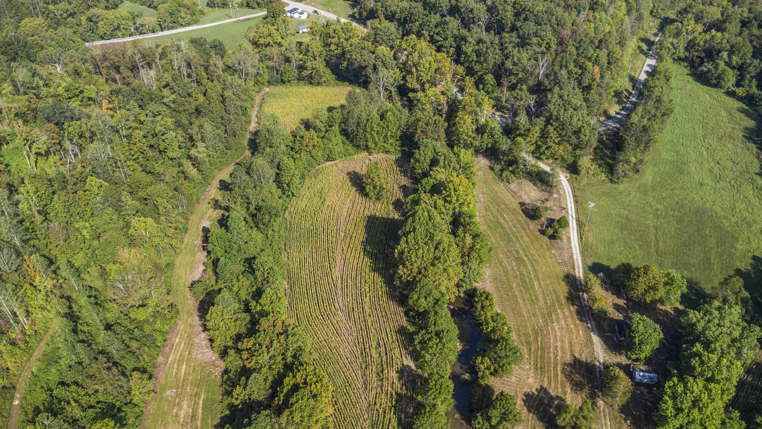 0 Tate Hollow Road Louisa, KY 41230 - Photo 34 of 50
