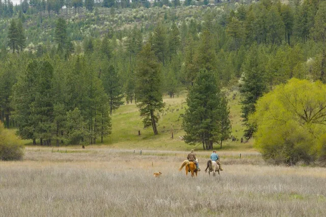 $120,000 | -xxx Fisher Road East, Unit LOT 5, Davenport, WA 99122