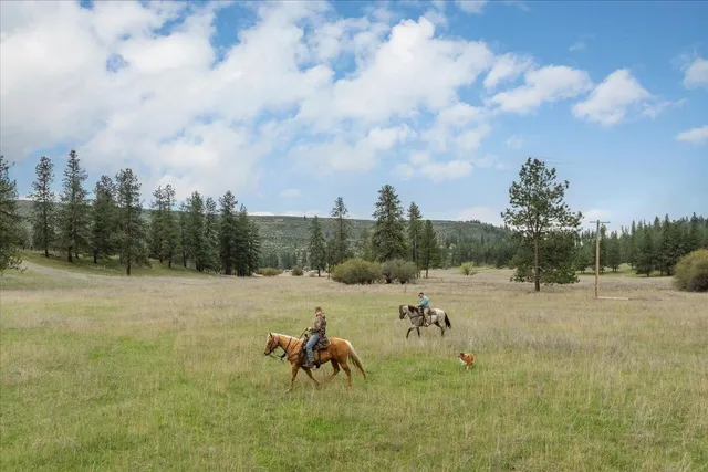 $120,000 | -xxx Fisher Road East, Unit LOT 5, Davenport, WA 99122