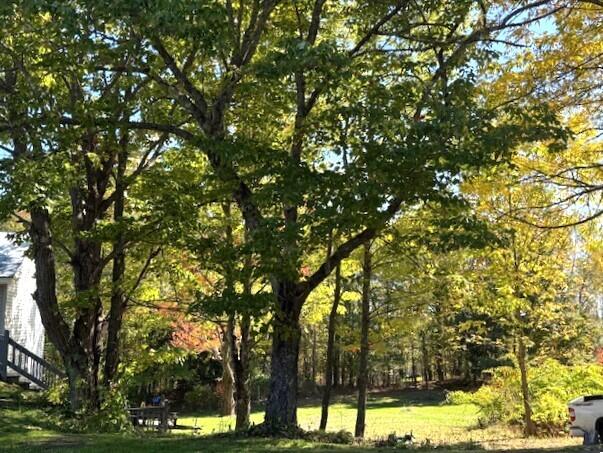 359 Ridge Road Fairfield, ME 04937 - Photo 35 of 36 Yard
