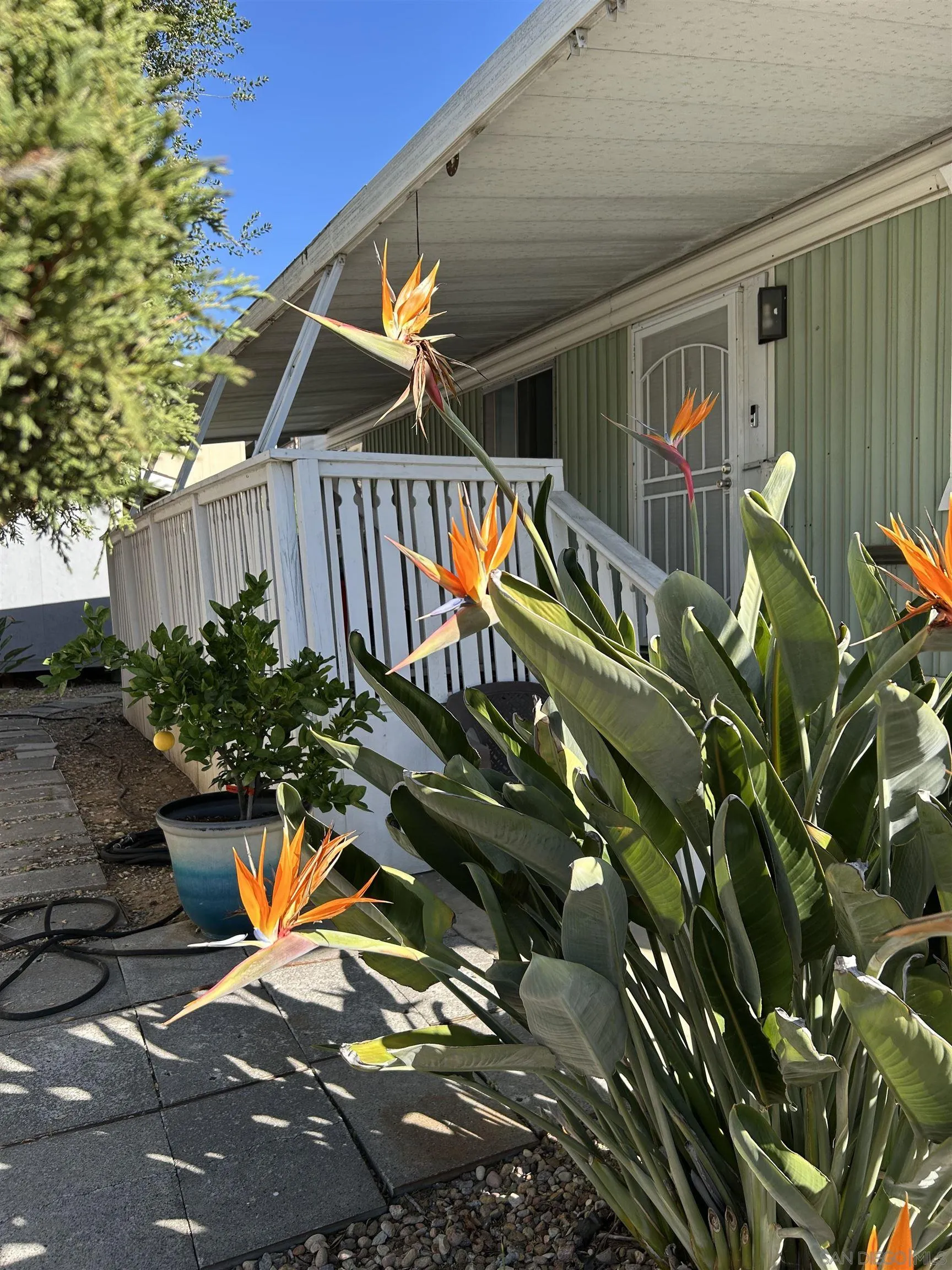 13300 Los Coches Road East, Unit 92 El Cajon, CA 92021 - Photo 6 of 21 a view of a house with swimming pool and sitting area