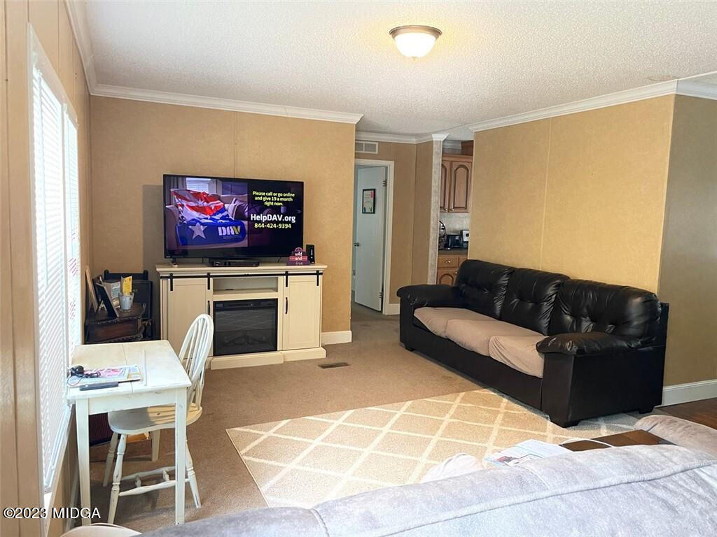 1013 Highway 41 Barnesville, GA 30204 - Photo 2 of 13 a living room with furniture a flat screen tv and a fireplace