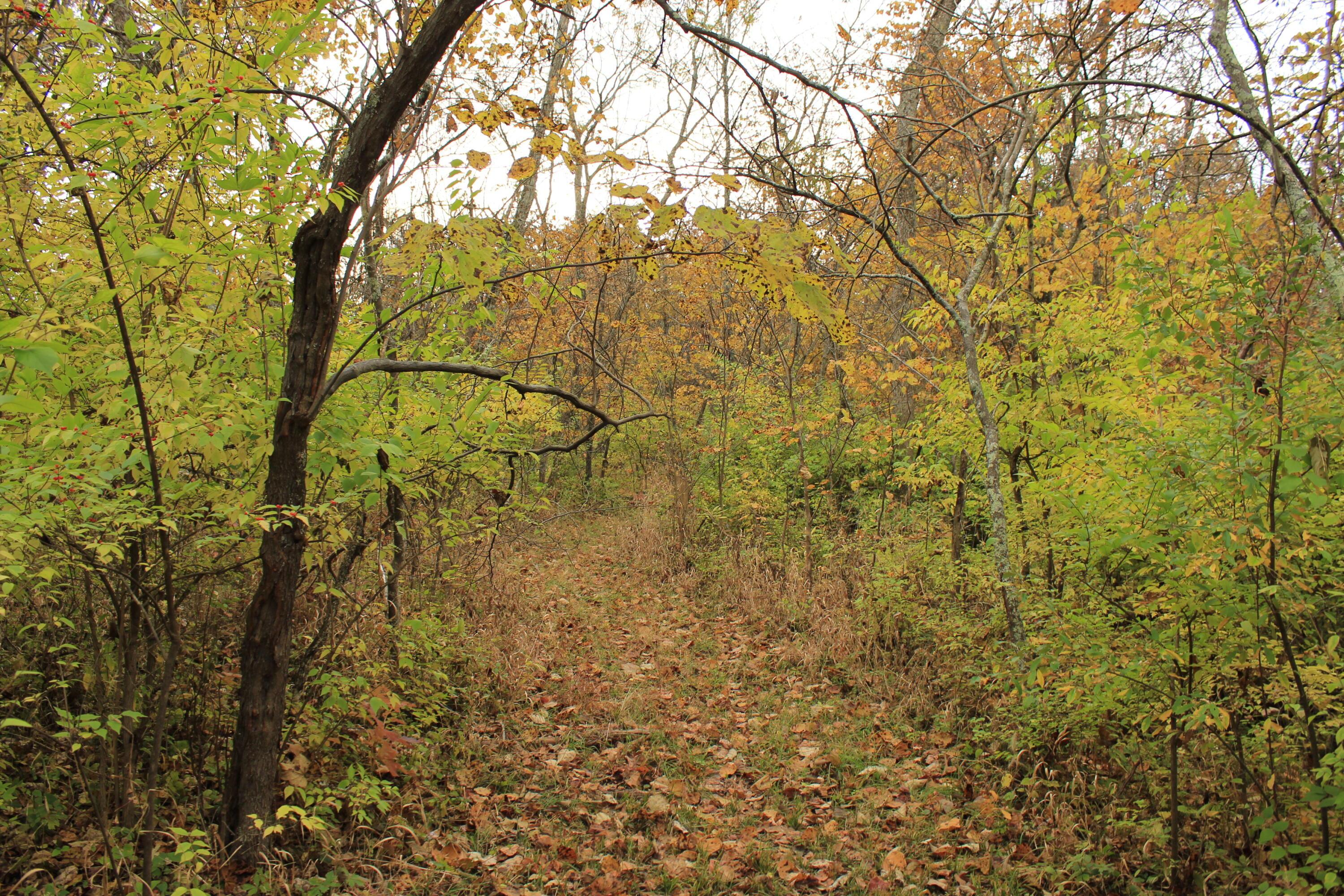 1316 Buttermilk Run Road Manchester, OH 45144 - Photo 99 of 107 100