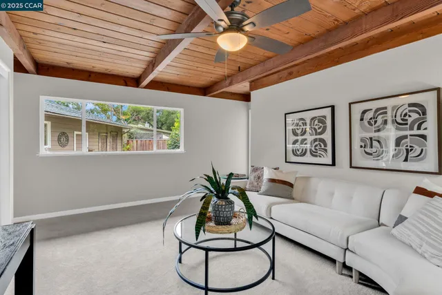 a living room with furniture and a potted plant