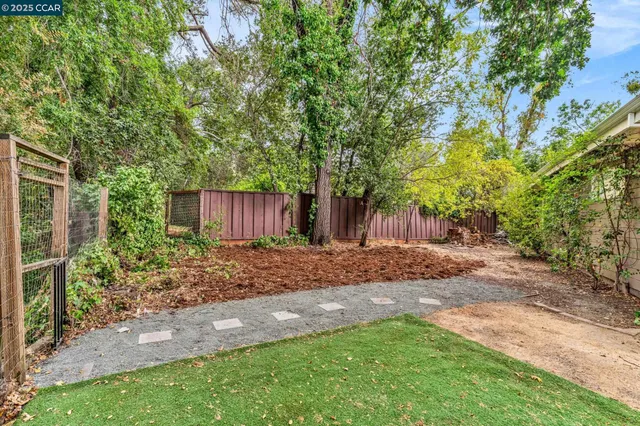 a view of a backyard with large trees and plants