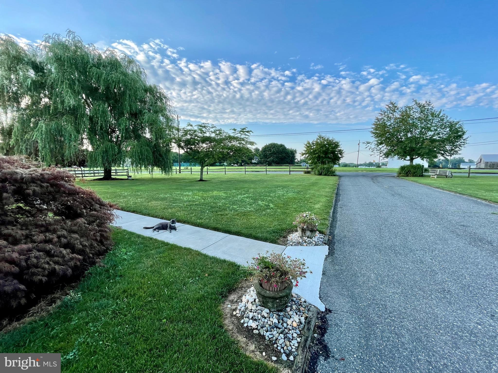 90 John Woolman Road Elmer, NJ 08318 - Photo 6 of 36