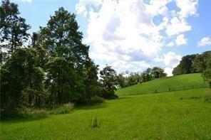 388 McCombs Road Venetia, PA 15367 - Photo 4 of 12 a view of a grassy field with trees