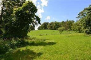 388 McCombs Road Venetia, PA 15367 - Photo 5 of 12 a view of a green field with lots of bushes
