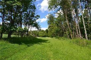 388 McCombs Road Venetia, PA 15367 - Photo 7 of 12 a view of a lush green space