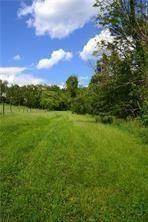 388 McCombs Road Venetia, PA 15367 - Photo 10 of 12 a view of a green field with lots of green space