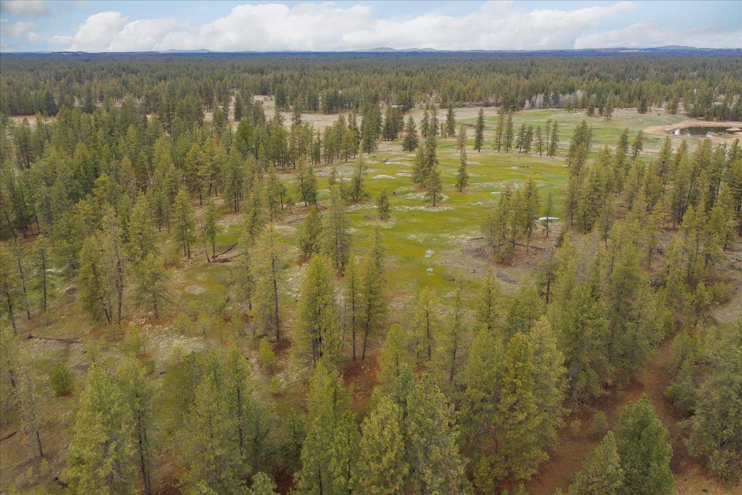 Unk South Cheney Plaza Road, Unit 12242 9013 Cheney, WA 99004 - Photo 13 of 23