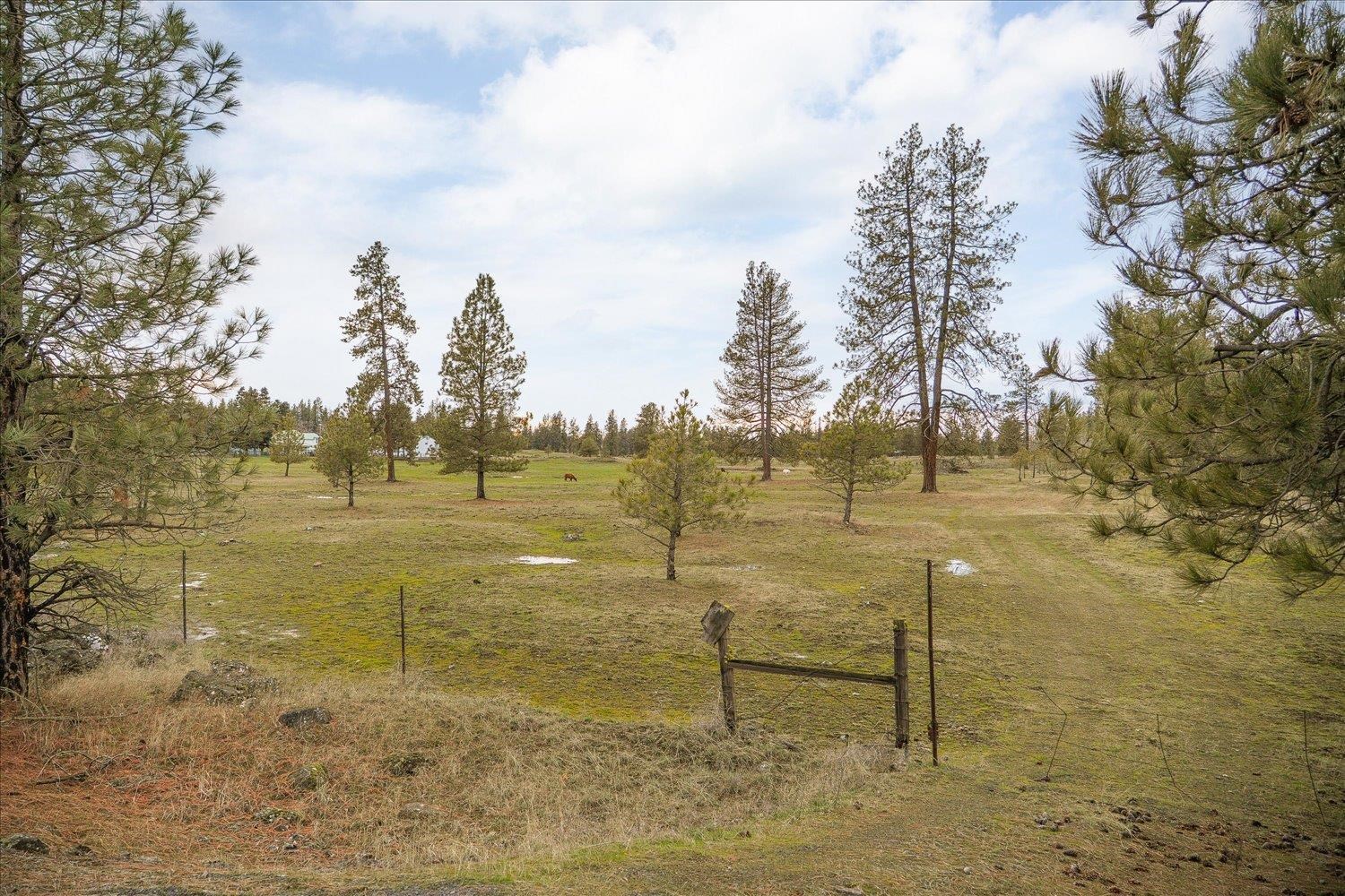 Unk South Cheney Plaza Road, Unit 12242 9013 Cheney, WA 99004 - Photo 20 of 23