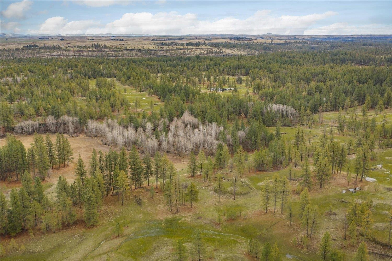 Unk South Cheney Plaza Road, Unit 12242 9013 Cheney, WA 99004 - Photo 3 of 23