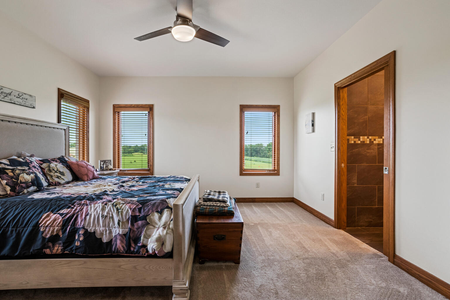 1069 Il Rte 10 Monticello, IL 61856 - Photo 29 of 53 Gallery Image 29