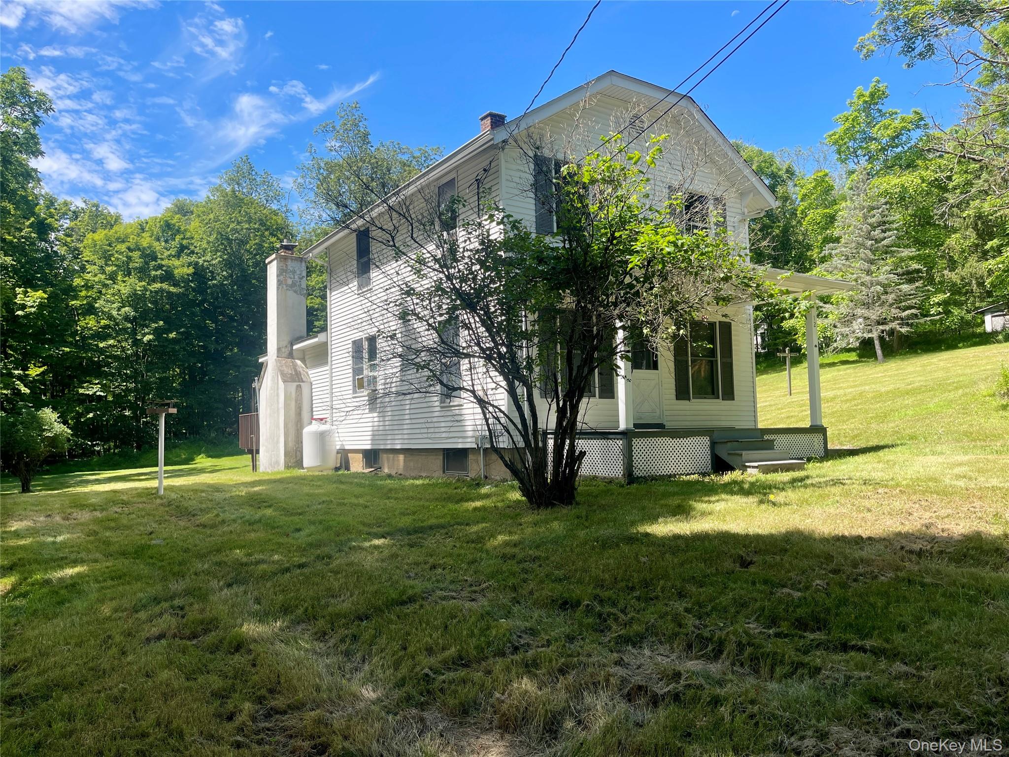 12 Old Turnpike Road Bloomingburg, NY 12721 - Photo 2 of 11 a view of a back yard of the house