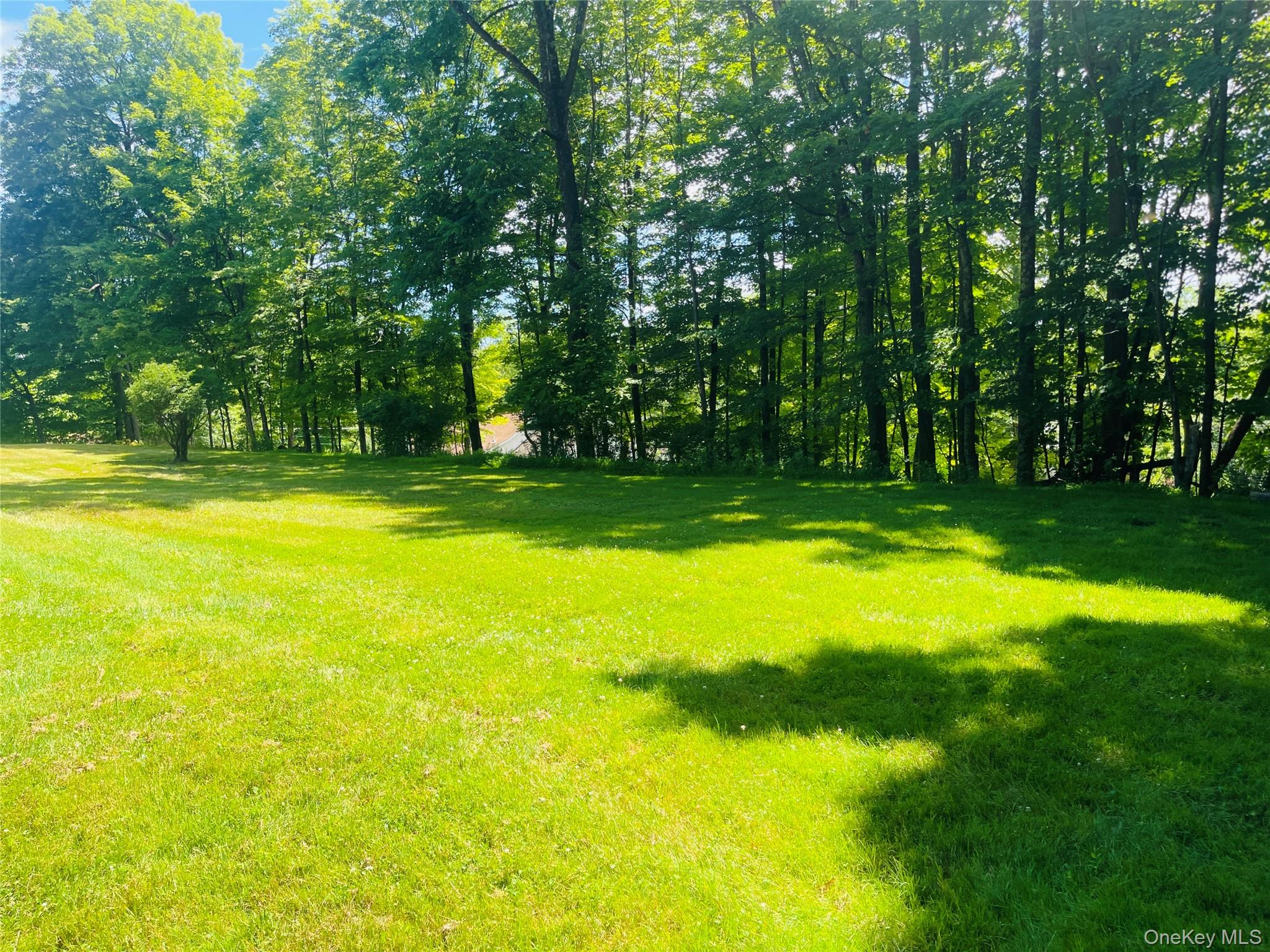 12 Old Turnpike Road Bloomingburg, NY 12721 - Photo 6 of 11 a view of swimming pool with lawn chairs and large trees