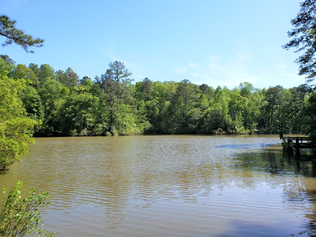 8935 C Moore Road Columbus, GA 31904 - Photo 72 of 73 Gallery Image 72