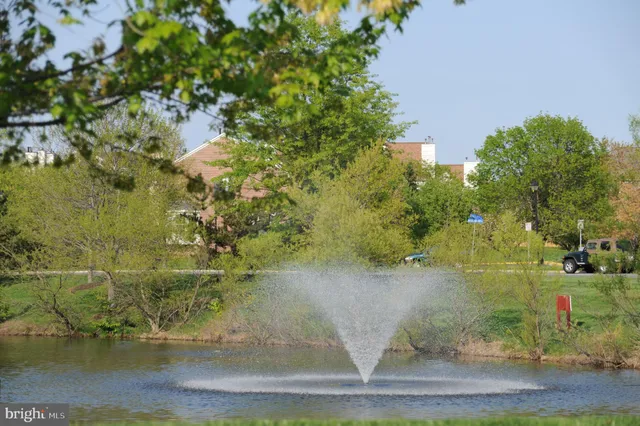a front view of a house with a yard and potted plants
