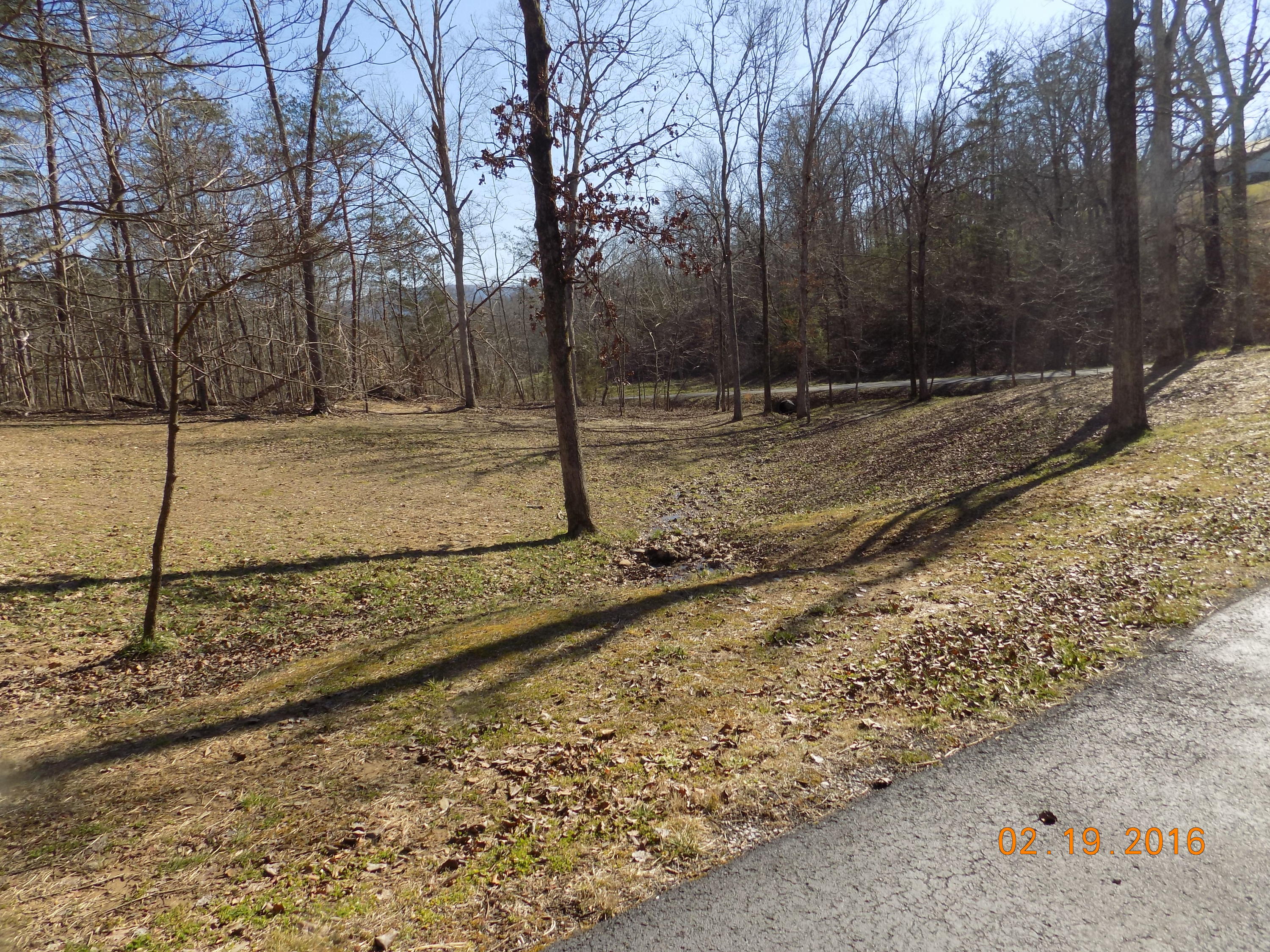 1183 John Burch Road West Dunlap, TN 37327 - Photo 36 of 37 DSCN0432