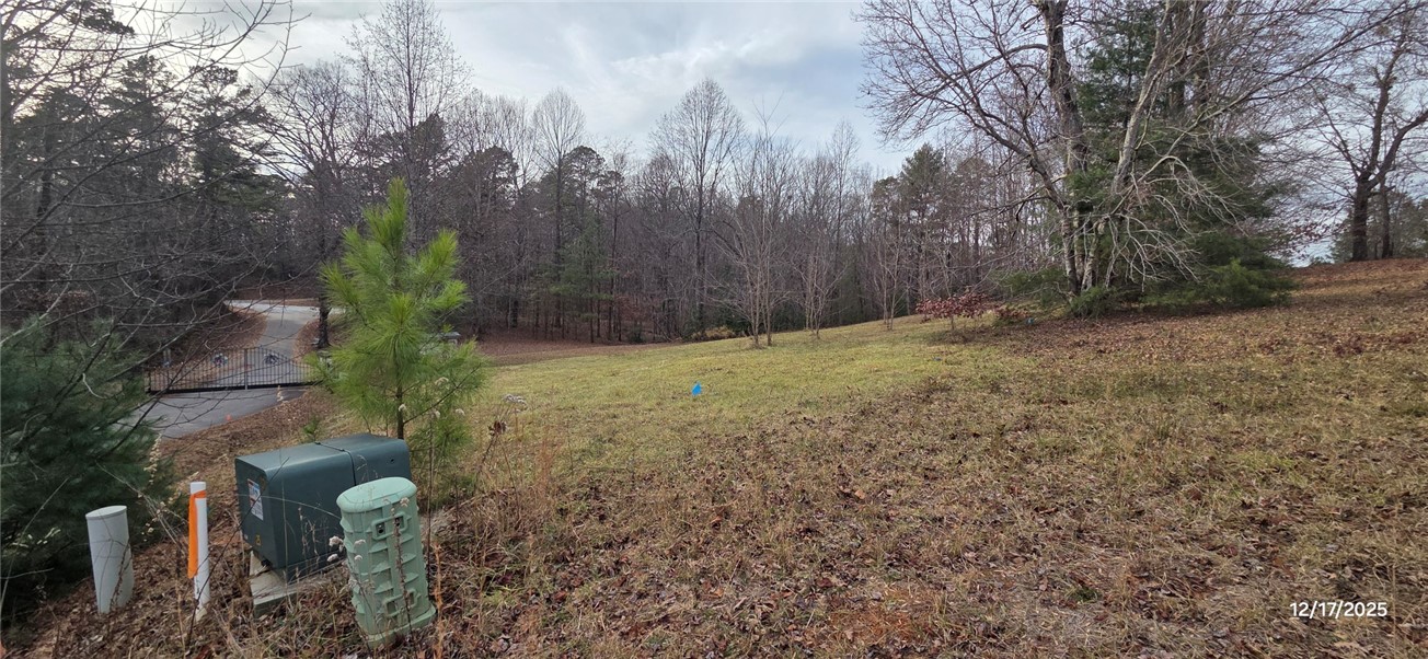 1 Lenore B Lane Mountain Rest, SC 29664 - Photo 19 of 30