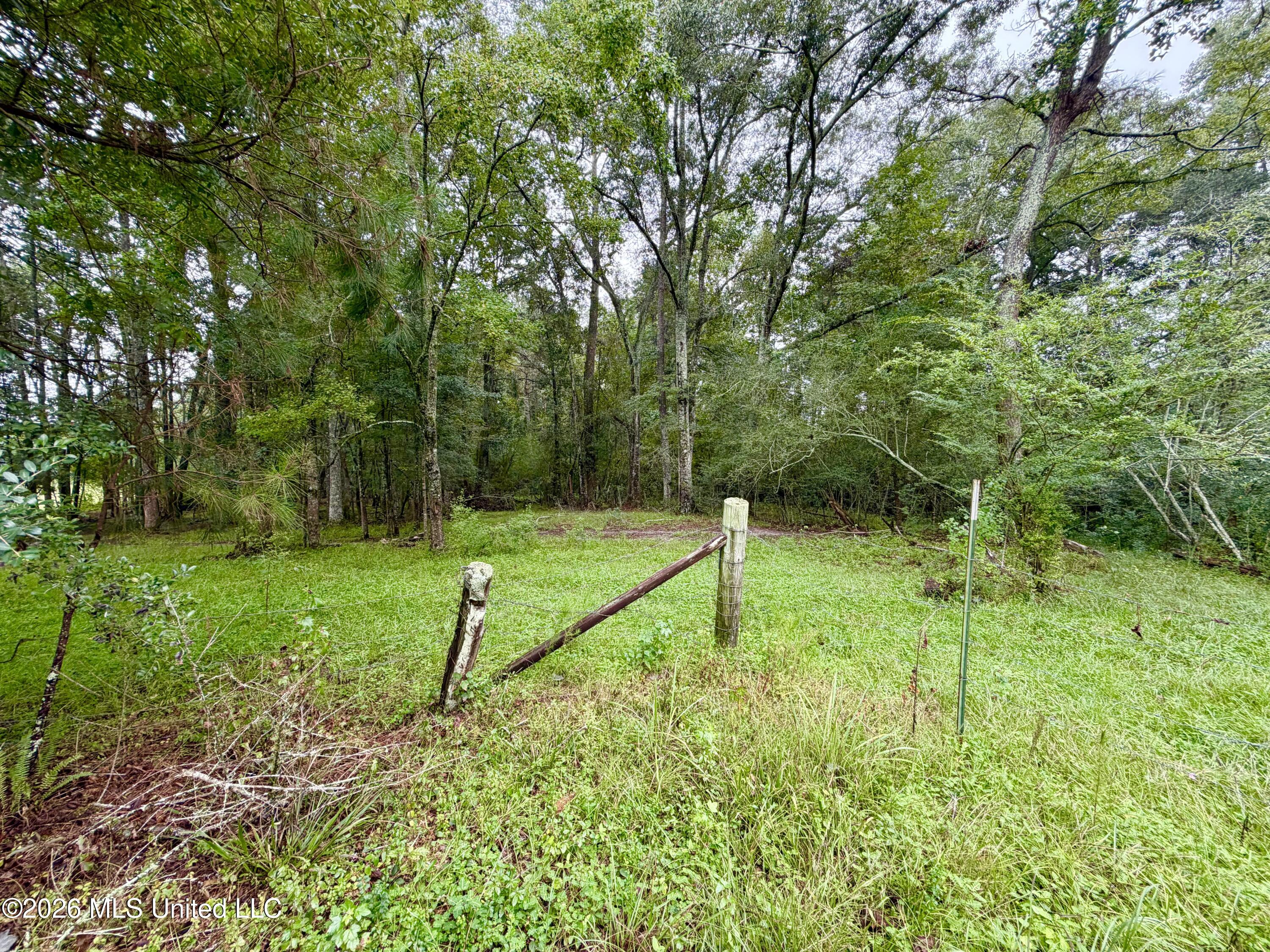 Rock Hill Sumrall, MS 39482 - Photo 2 of 19 IMG_6018