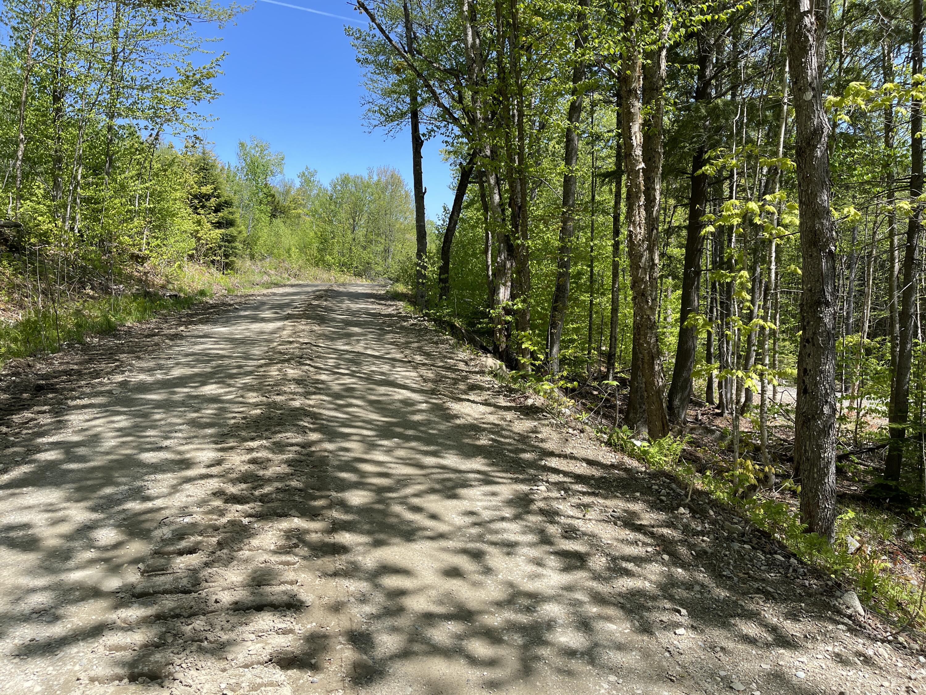 Lot 2 West Richardson Pond Road Oquossoc, ME 04964 - Photo 11 of 11 IMG_6729